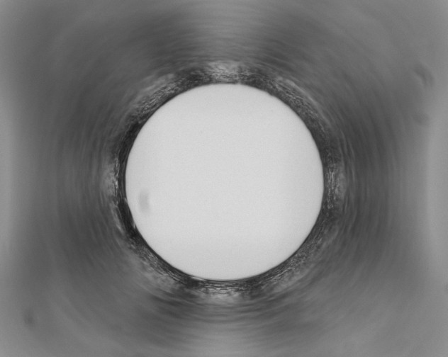 X0000111610702200908281051