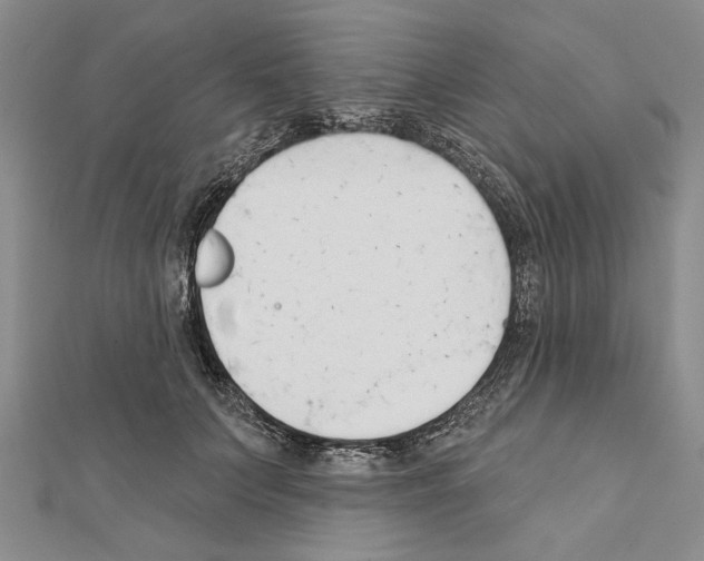 X0000111610703200908281051
