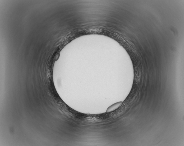 X0000111610704200908281051