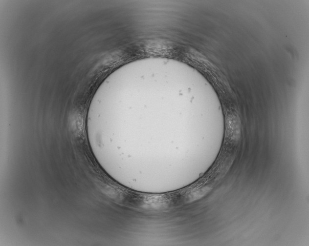 X0000111610705200908281051