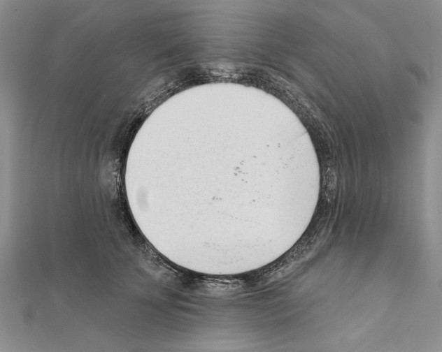 X0000111610707200908281051