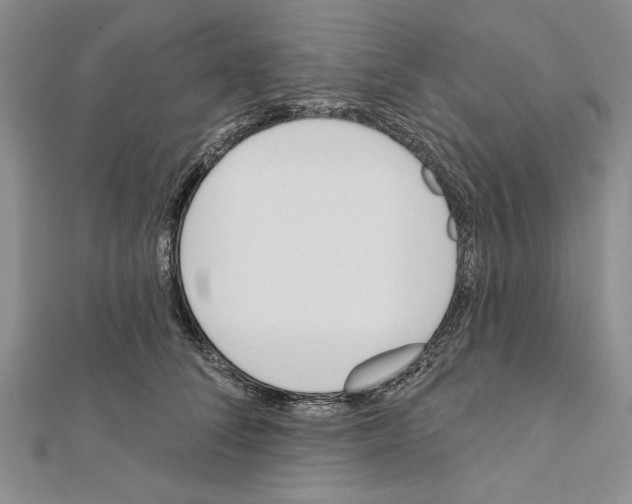 X0000111610708200908281051