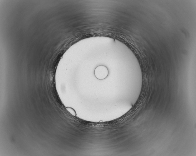 X0000111610709200908281051