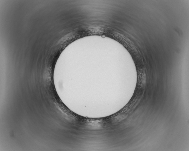 X0000111610710200908281051
