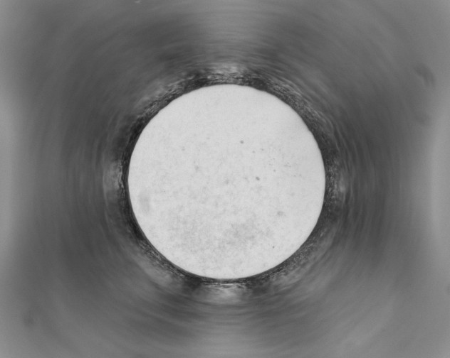 X0000111610711200908281051