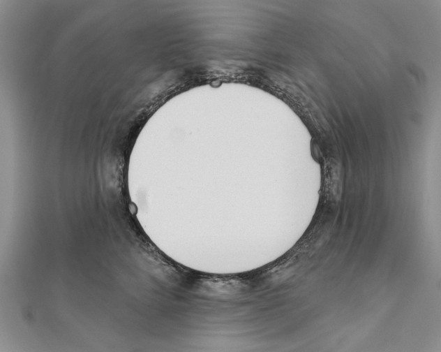 X0000111610712200908281051