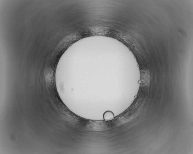 X0000111610713200908281051