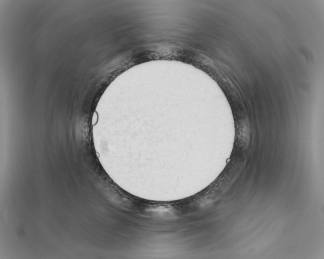 X0000111610715200908281051