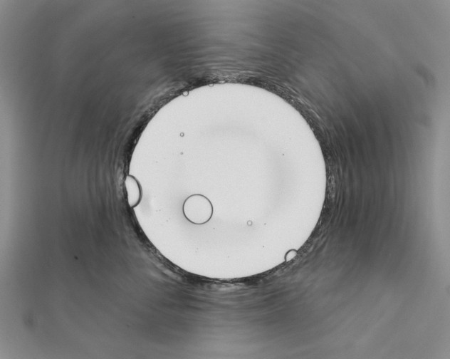 X0000111610716200908281051