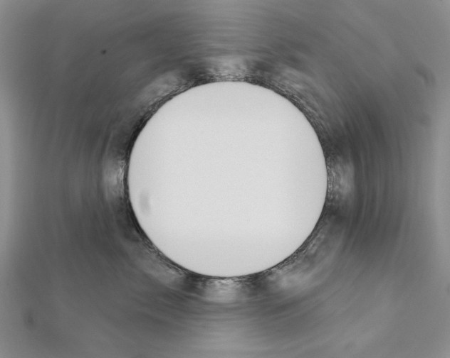 X0000111610717200908281051