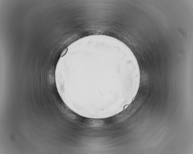 X0000111610719200908281051