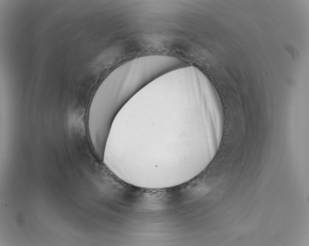 X0000111610720200908281051