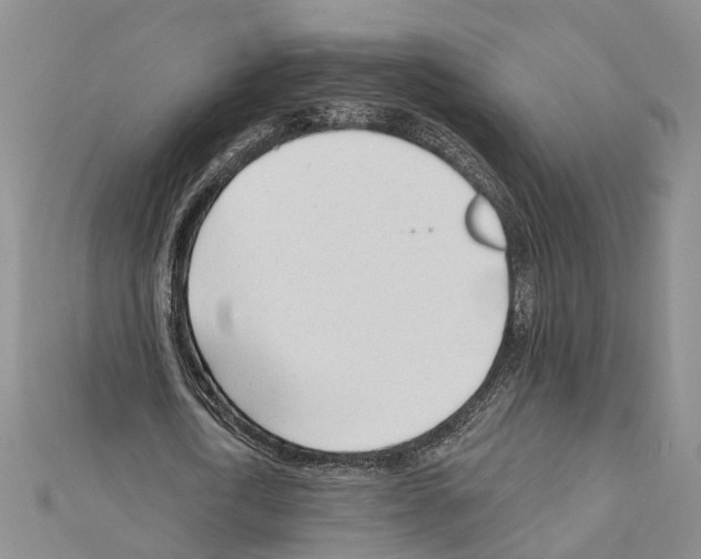 X0000111610722200908281050