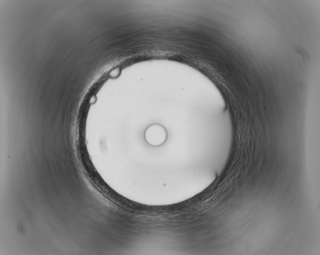 X0000111610726200908281050