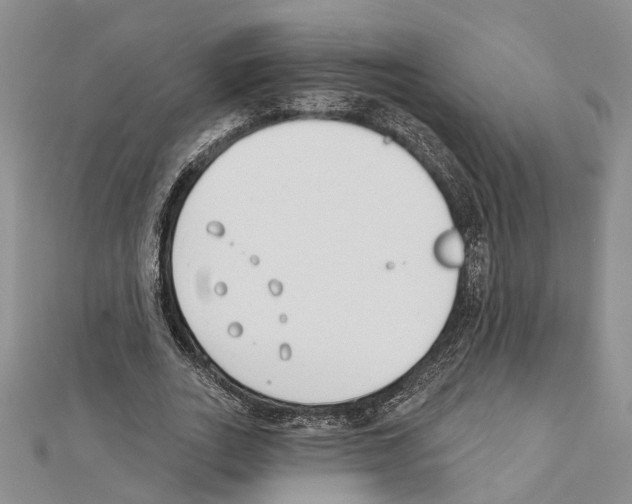 X0000111610727200908281050