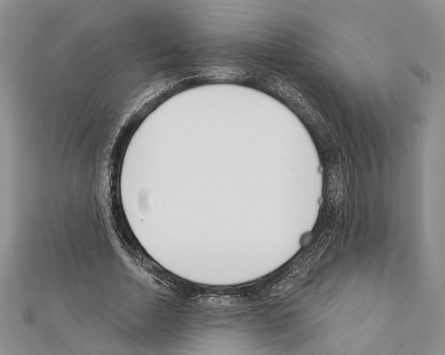 X0000111610730200908281050
