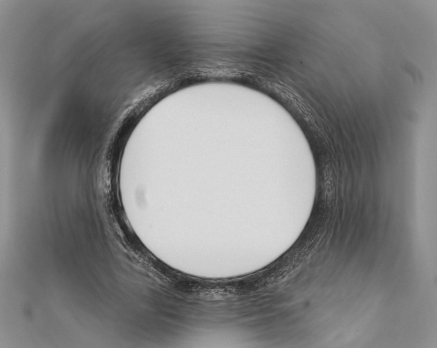 X0000111610731200908281050