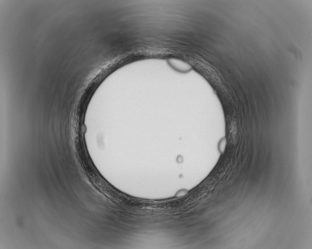 X0000111610732200908281050