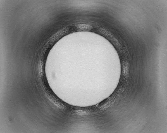 X0000111610733200908281050