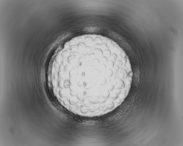 X0000111610734200908281050