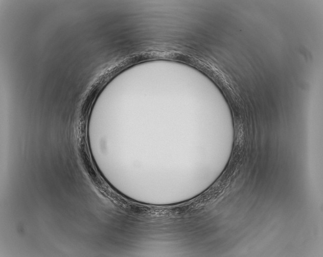 X0000111610736200908281050