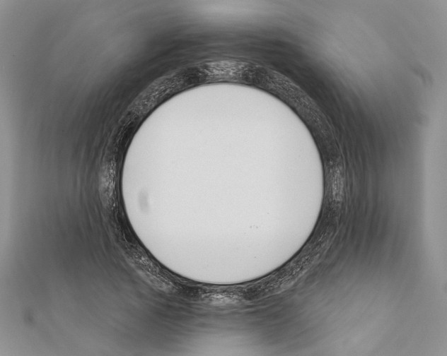 X0000111610737200908281050