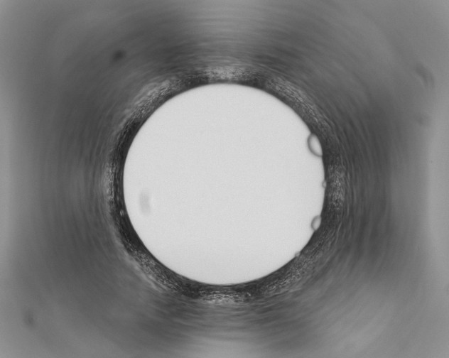X0000111610738200908281050