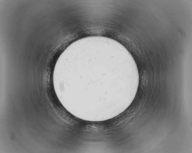 X0000111610739200908281050
