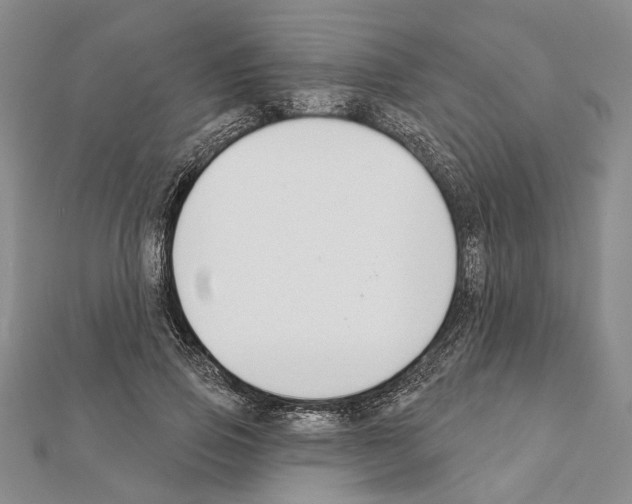 X0000111610741200908281050