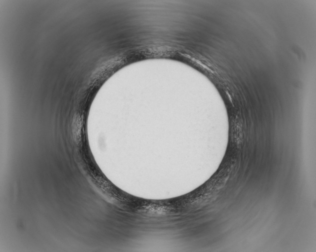X0000111610742200908281050