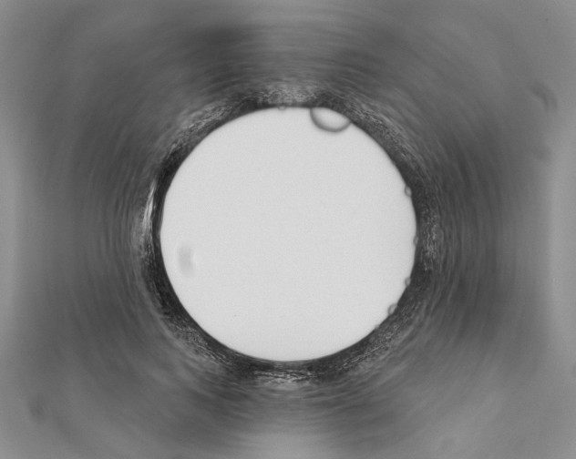 X0000111610743200908281050