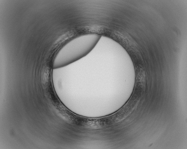X0000111610744200908281050