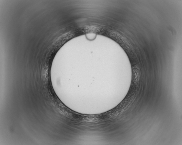X0000111610745200908281050
