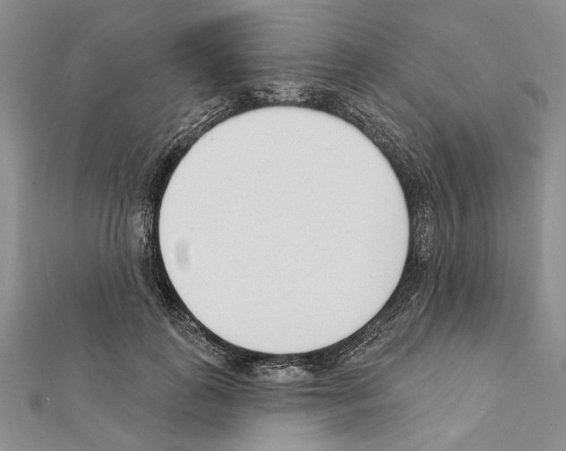 X0000111610747200908281050