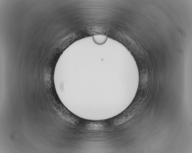 X0000111610749200908281050