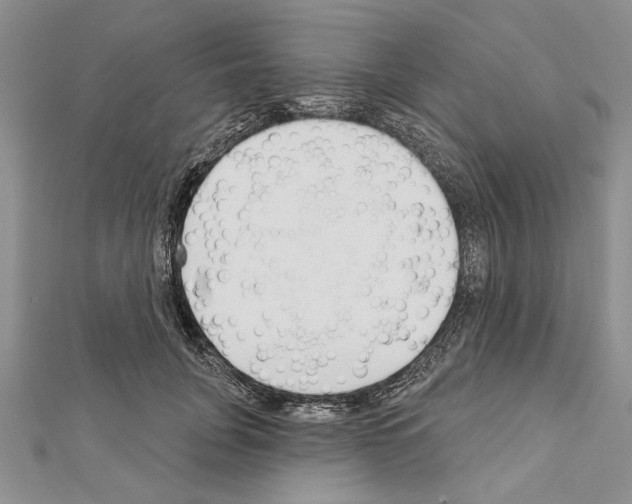 X0000111610751200908281050