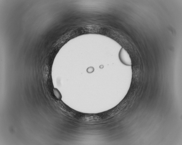 X0000111610752200908281050