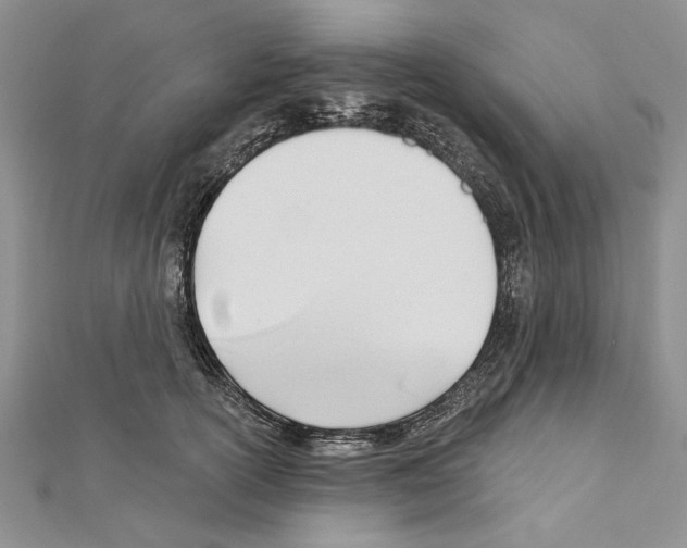 X0000111610754200908281050