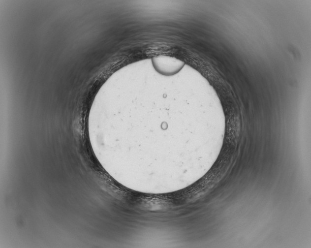 X0000111610755200908281050