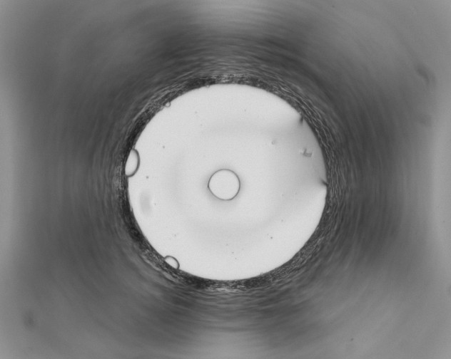 X0000111610756200908281050