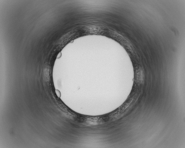 X0000111610757200908281050