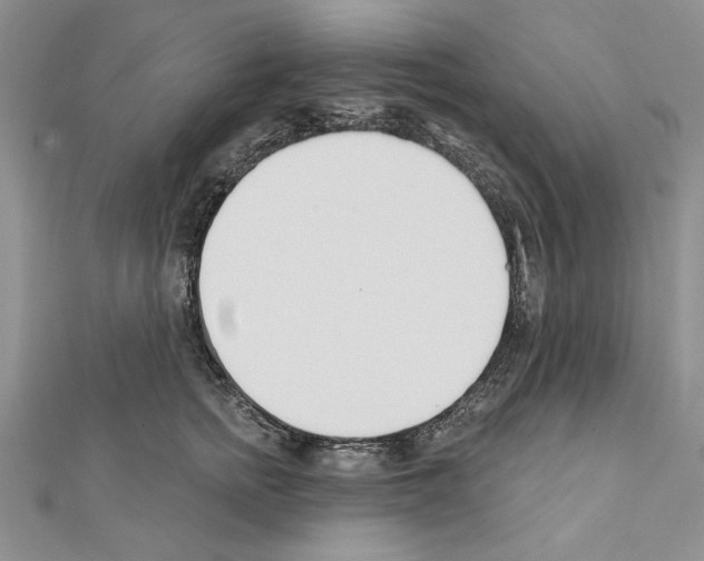 X0000111610758200908281050