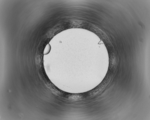 X0000111610759200908281050
