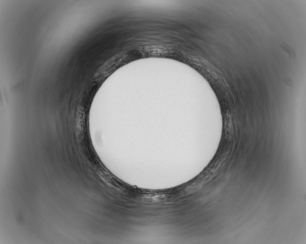 X0000111610760200908281050