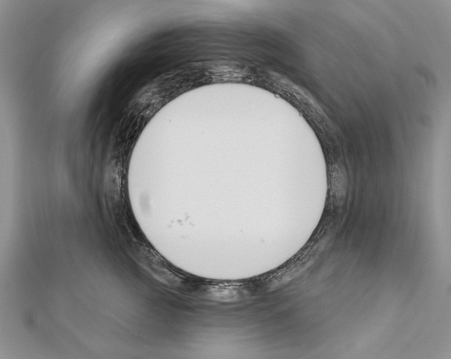 X0000111610761200908281050