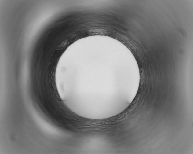 X0000111610764200908281050