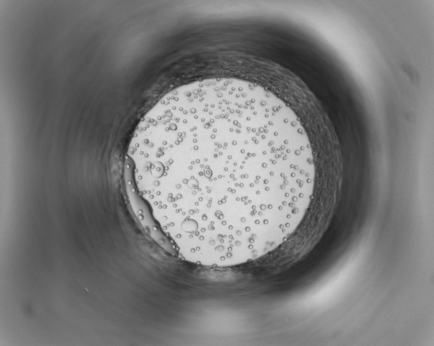 X0000111610767200908281051
