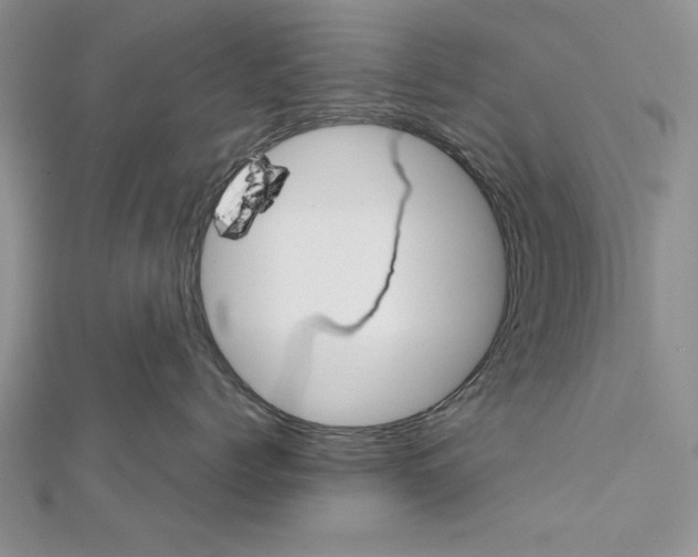 X0000111610768200908281051
