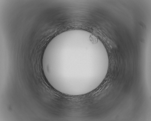 X0000111610769200908281050