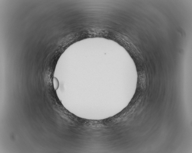 X0000111610770200908281050